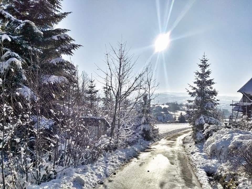 Photo Credit: ©Isabella Sissons, nagrodzone zdjęcie pt. „Zima w Mszanie Dolnej” 
